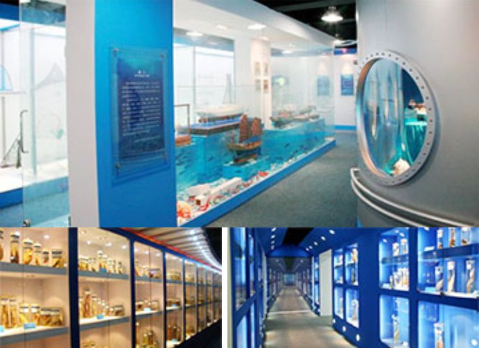 1752720591685 c4da4f1ed583dbb0729d211c279547d1